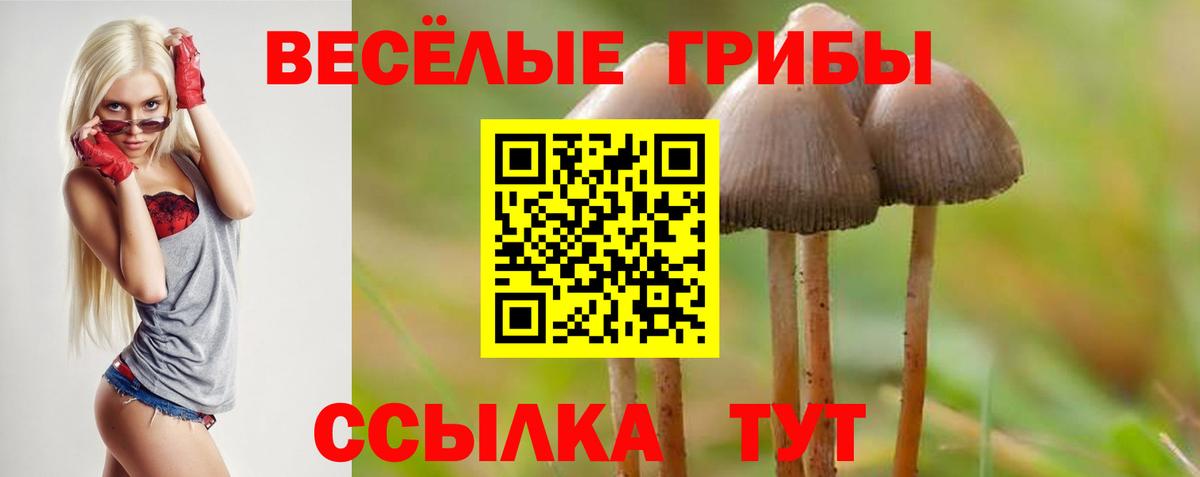 Галлюциногенные грибы ЛСД Краснодар
